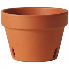 Southern Patio 6" Orchid Clay Pot