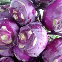 Kohlrabi, Purple Vienna - 1lb