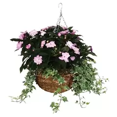 WSP 14" Rustic Rattan Hanging Basket