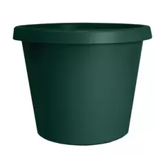 HC 8" Prima Planter Evergreen