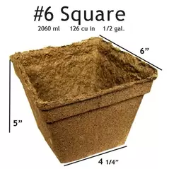 Summit Cow Pot