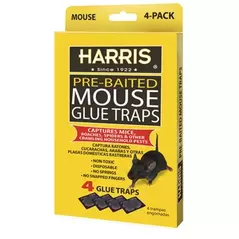 Harris 4pk Mouse Glue Traps