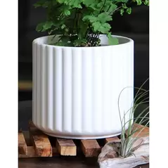 Palm Spring 8" Brush Comb Planter Mwh