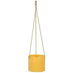 Scheurich 6.25" Zabaione 429/16 Hanging Pot