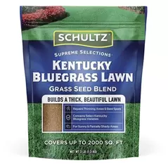 Schultz 3
