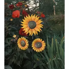 Moonrays Solar Sunflower Stick Light
