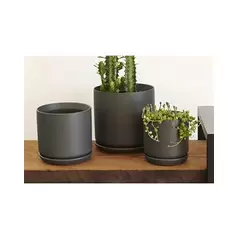 Palm Spring 7"x6.5" Cylinder with As Mcg