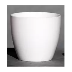 Palm Spring 7.5" Pc Lily Cache MWH