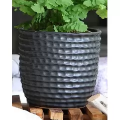 Palm Spring 6.5" Honey Comb Planter Sgy