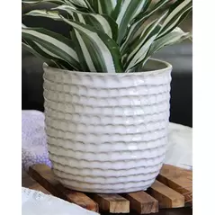 Palm Spring 7.5" Honey Comb Planter Ssl