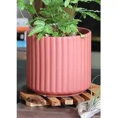 Palm Spring 6.5" Brush Comb Hbs Planter