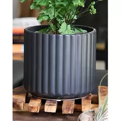 Palm Spring 6.5" Brush Comb Mbk Planter