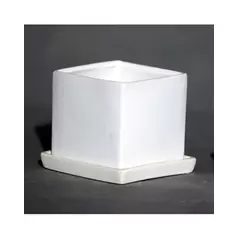 Palm Spring 2.5" Cube Pot with Ds Mwh