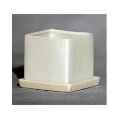Palm Spring 4.5" Cube Pot with Ds Mlg