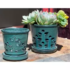 Verandah 6" Jade Waikiki Orchid Pot