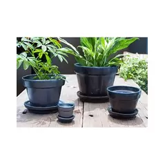 Verandah 5.5x4.5 Silver Standard with Saucer