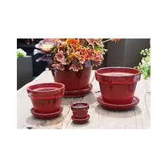 Verandah 6.5x5.5 with Saucer Trph Red