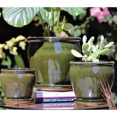 Verandah Butter Cup Size C Tgn