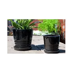 Verandah 5" Blk Kona Pot