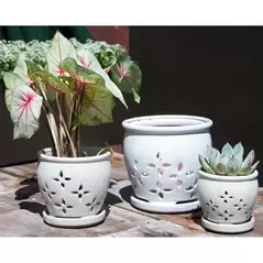 Verandah 6.0" Wsp Hilo Orchid Pot