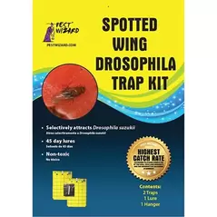 Pest Wizard 1pk Spotted Wing Drosophila Kit