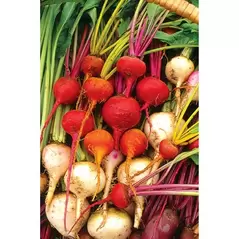 Beets, White Detroit - 1/2oz