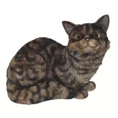 MCarr Cat Sitting Down Meowing Tiger Gray