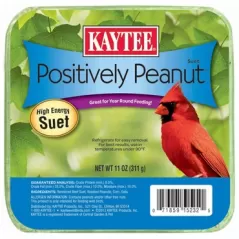 Kaytee 11oz Positively Peanut Suet