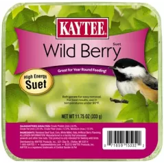Kaytee 11.75oz Wild Berry Suet