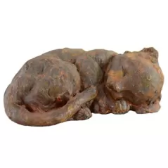MCarr Liconfiber 9.1" Kitten Rust