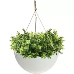 Algreen 14" Acerra Hanging Basket White