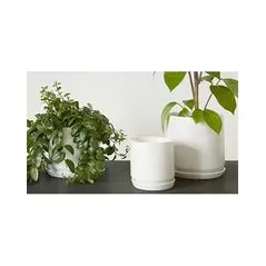 Palm Spring 5"x4.5" Cylinder with As Mwh