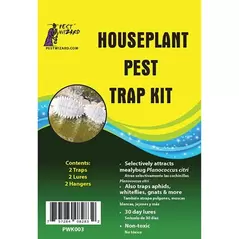 Pest Wizard 2pk Houseplant Pest Trap Kit