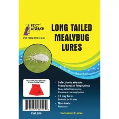 Pest Wizard 3pk Longtailed Mealybug Lure
