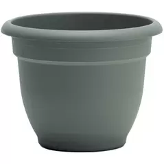 Bloem 12" Ariana Planter Basil