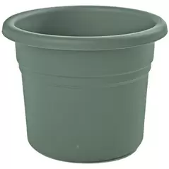Bloem 10" Posy Planter Basil