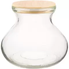 SSI 6" Vase Terrarium with Lid & Light