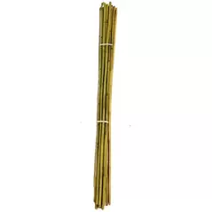 A&G 1"x10' Bamboo Stake