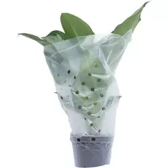 Grower Select Satin Sleeve 13.5x24x30 1000/CS