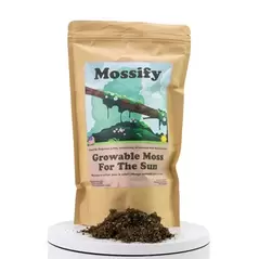 Mossify Sun Growable Moss