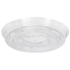 Panacea 6" D River North USA Saucer