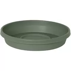 Bloem 8" Terra Saucer Basil