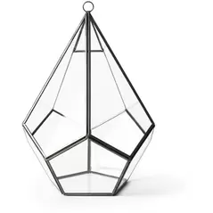 SuperMoss Glass Terrarium Teardrop