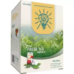 Miracle LED Sippa Sun Tea Growing Light Kit - 4-Socket - 6-Foot - Absolute Daylight - Full Spectrum Grow Bulbs