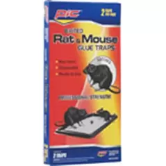 PIC 2pk Glue Trap
