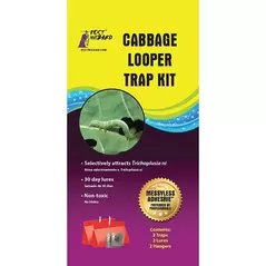 Pest Wizard 2pk Cabbage Looper Kit