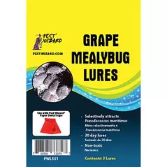 Pest Wizard 3pk Grape Mealybug Lure