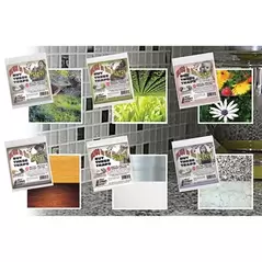 Pest Wizard 2pk Bugs in Pantry Trap Assortment (6 Colors/CS)