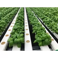 TAPKIT 30'x90' Retrofit Hydroponic System - 9,568 Planting Holes