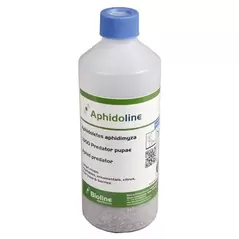 Aphidoletes aphidimyza, 1000 per bottle loose ( Aphids )